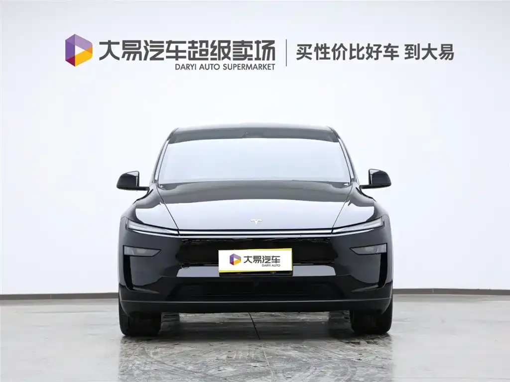 Tesla Model Y 2025 из CN, фото 2