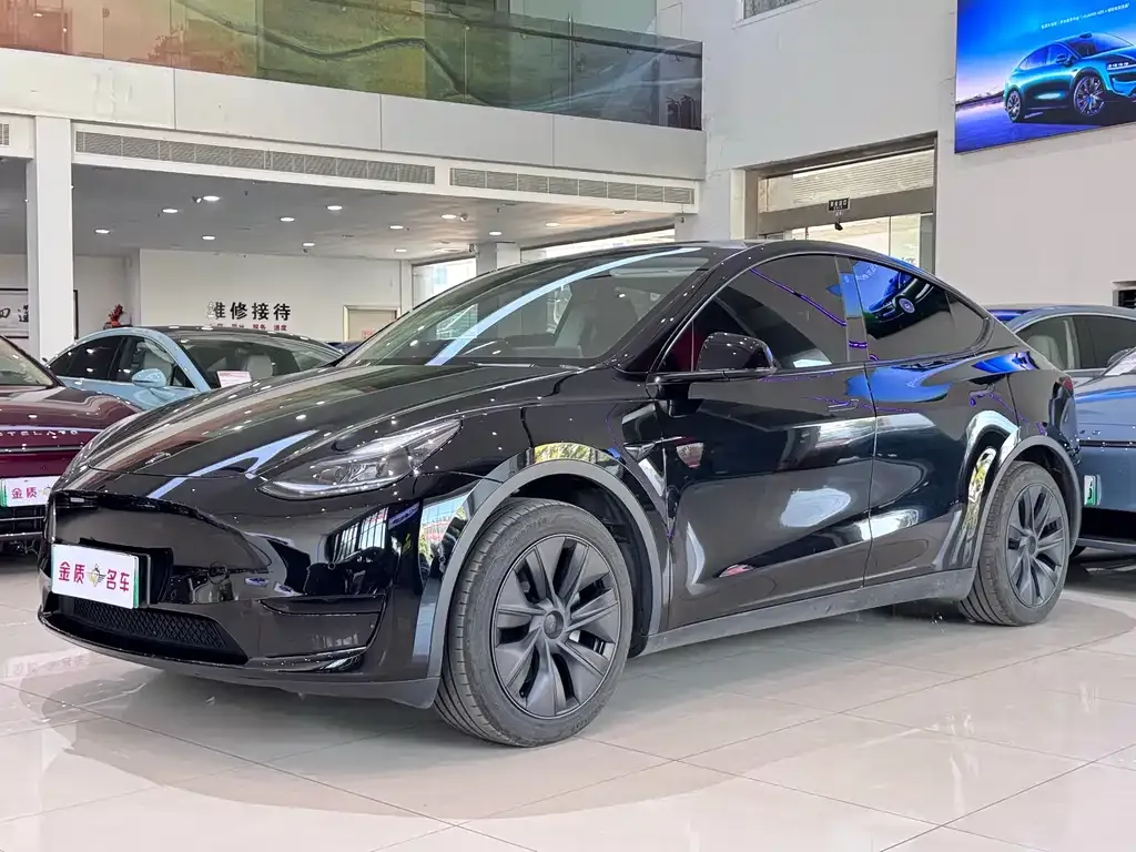 Tesla Model Y — фото 1