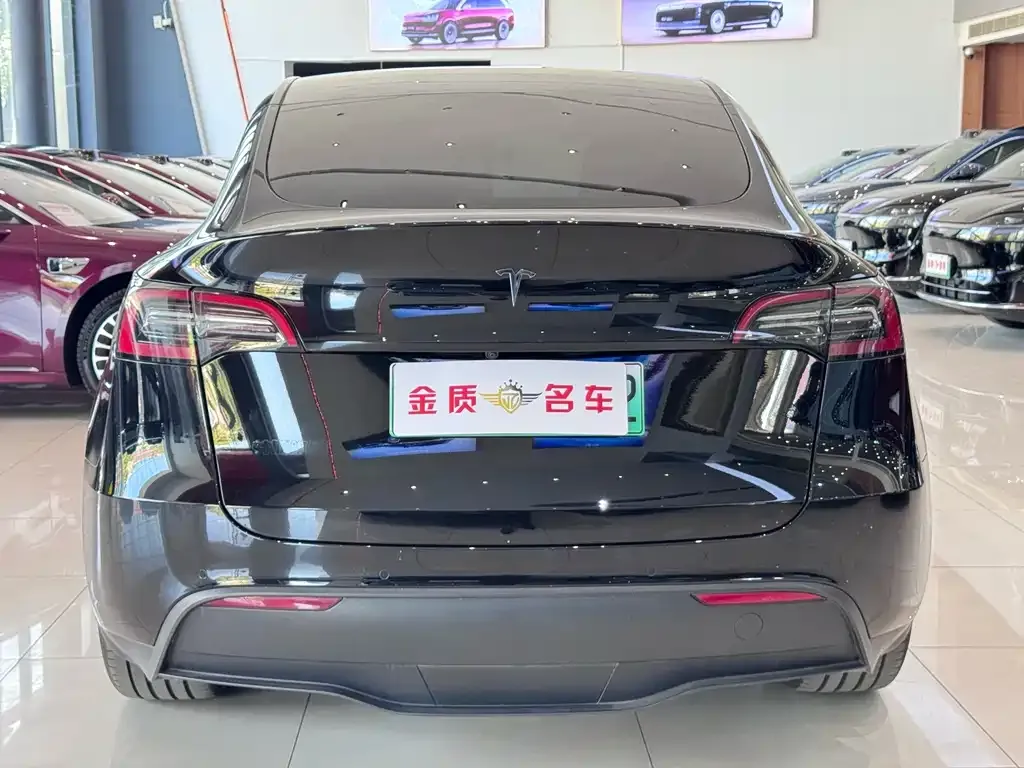 Tesla Model Y — фото 10