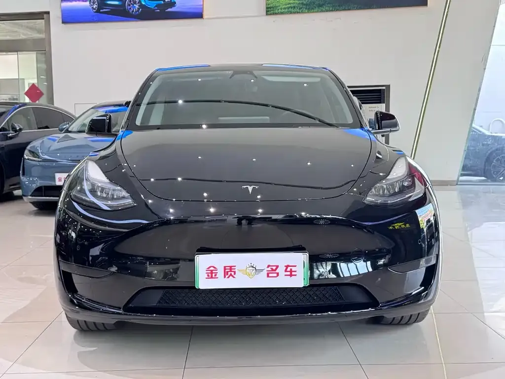 Tesla Model Y — фото 2