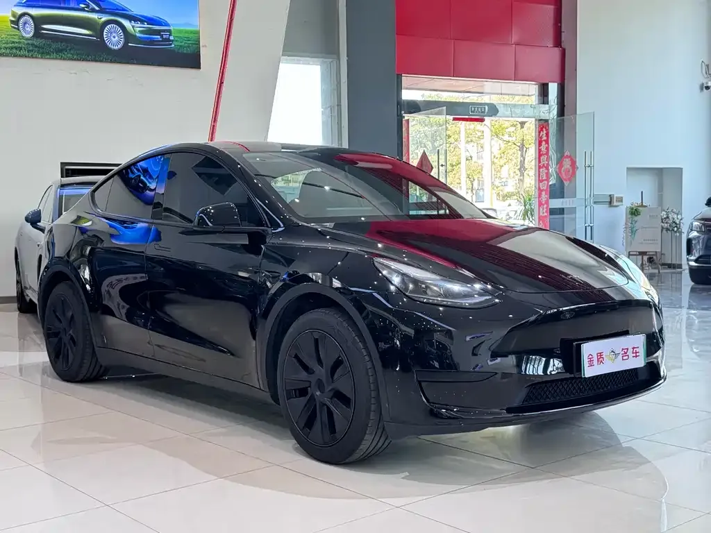 Tesla Model Y — фото 3