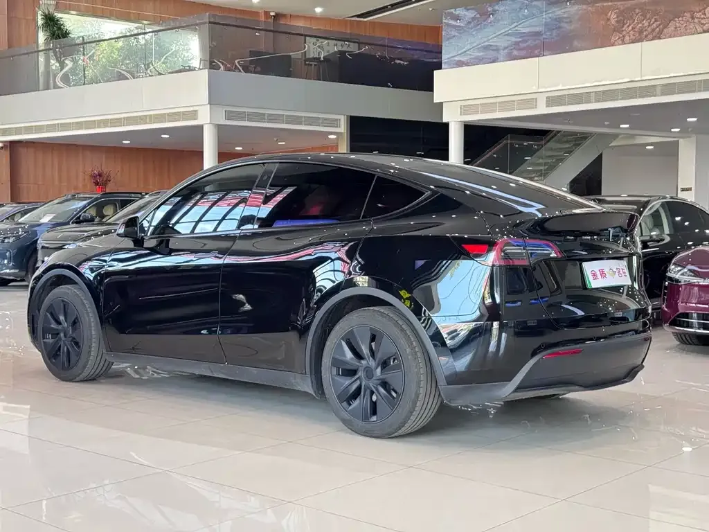 Tesla Model Y — фото 9