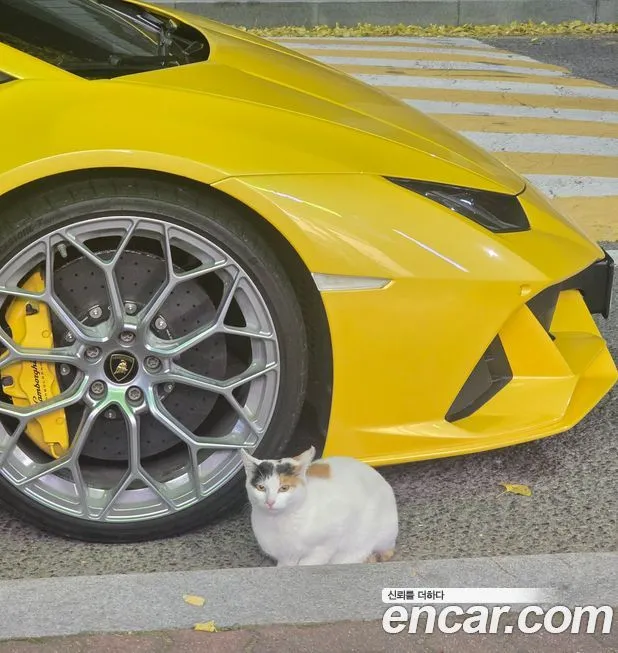 Lamborghini Huracan 2022 из KR, фото 5