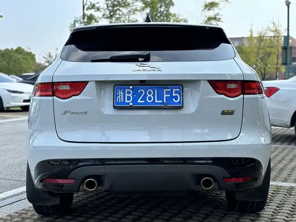 Jaguar F-PACE 2021 из CN, фото 8
