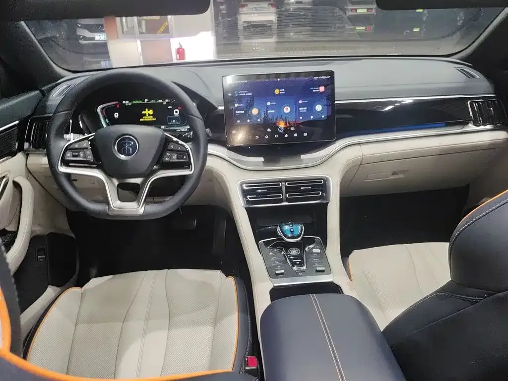 BYD PLUS New Energy 2022 из CN, фото 10