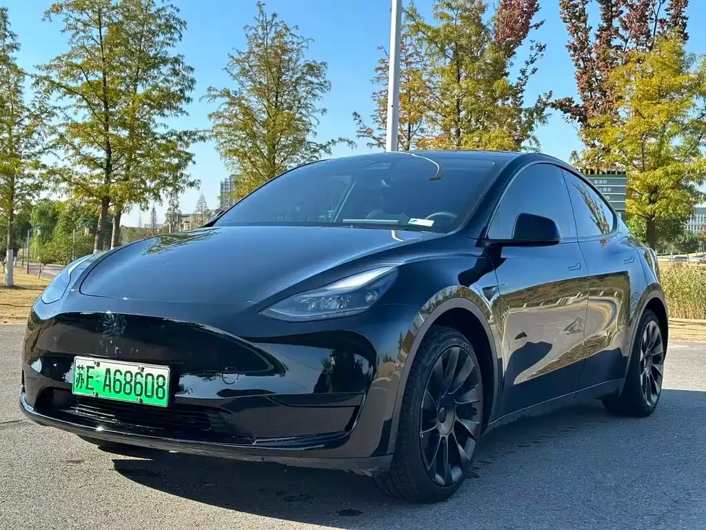 Tesla Model Y 2022 из CN, фото 1
