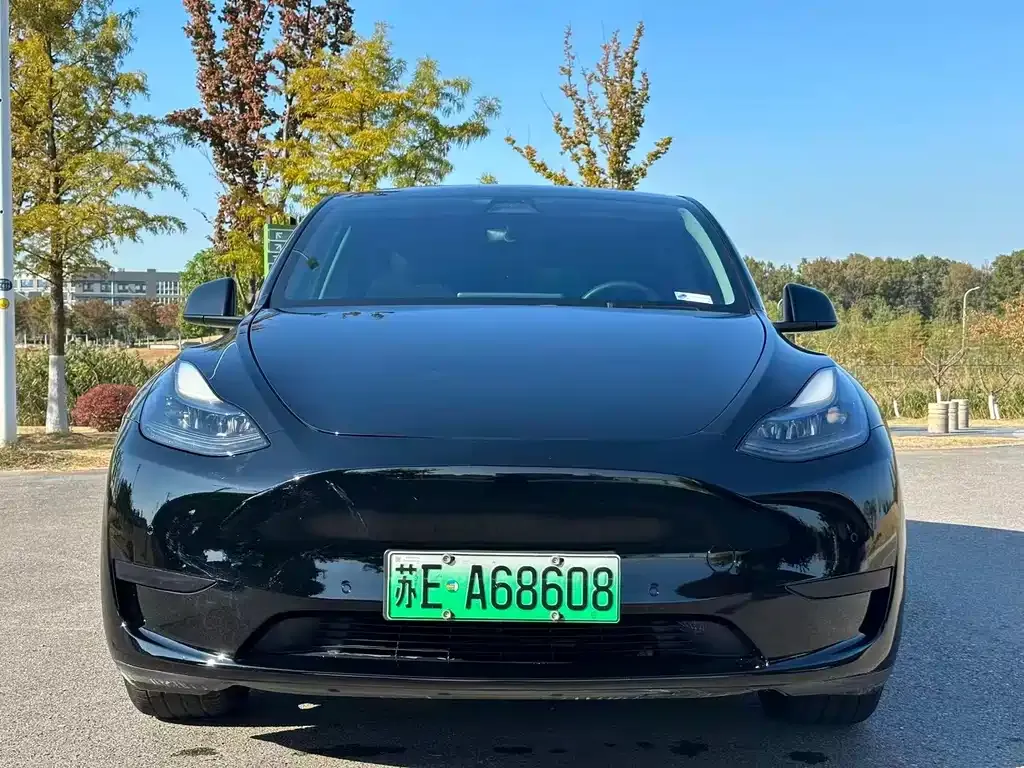 Tesla Model Y 2022 из CN, фото 2