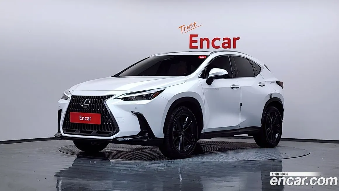 Lexus NX 2025 из KR, фото 1