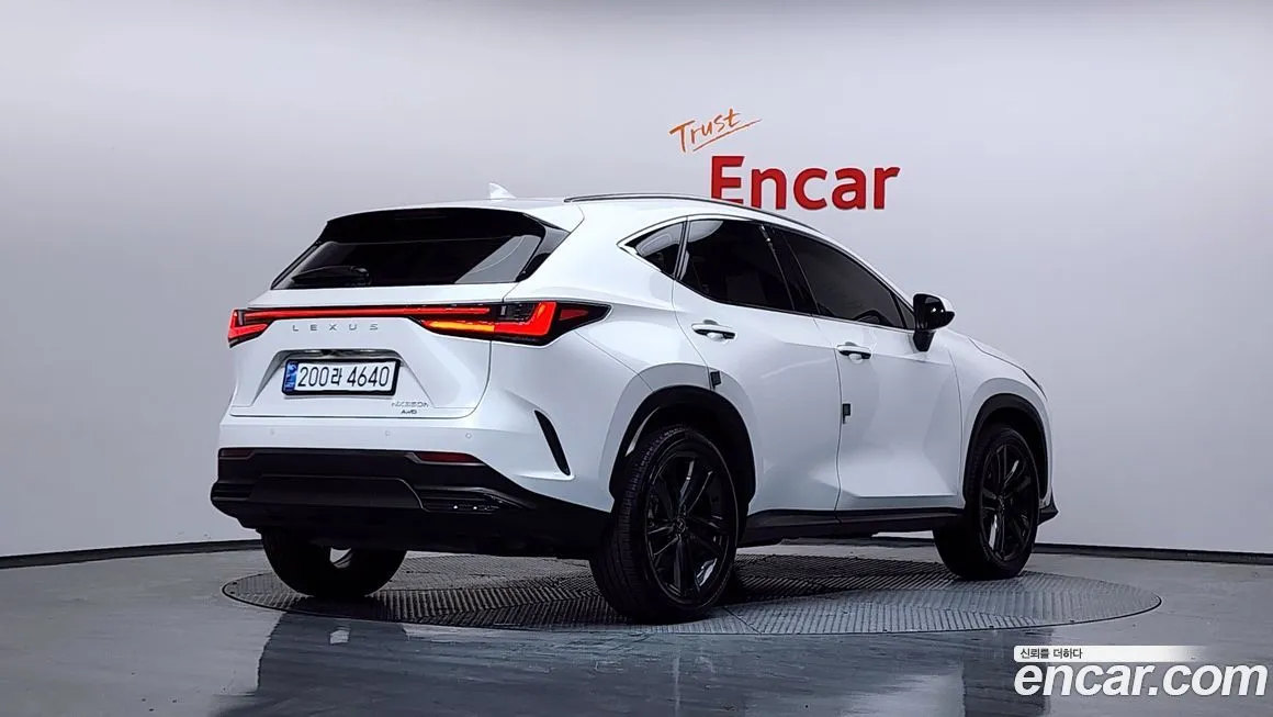 Lexus NX 2025 из KR, фото 2