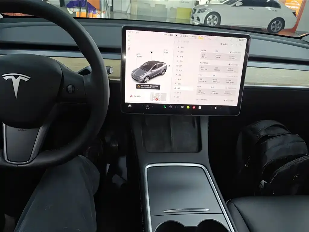 Tesla Model Y 2021 из CN, фото 10