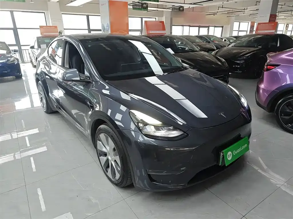 Tesla Model Y 2021 из CN, фото 4