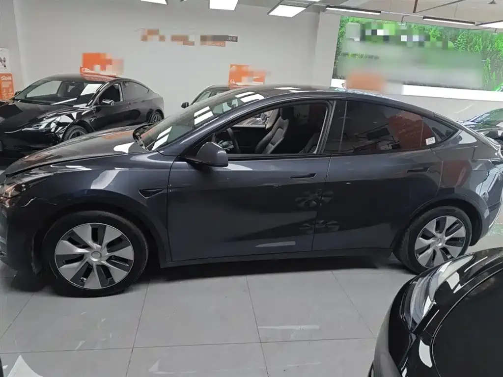 Tesla Model Y 2021 из CN, фото 5