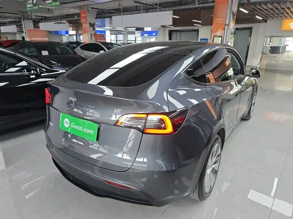Tesla Model Y 2021 из CN, фото 7