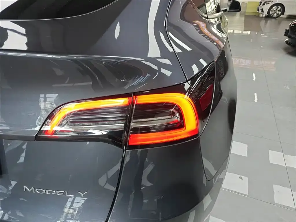 Tesla Model Y 2021 из CN, фото 8