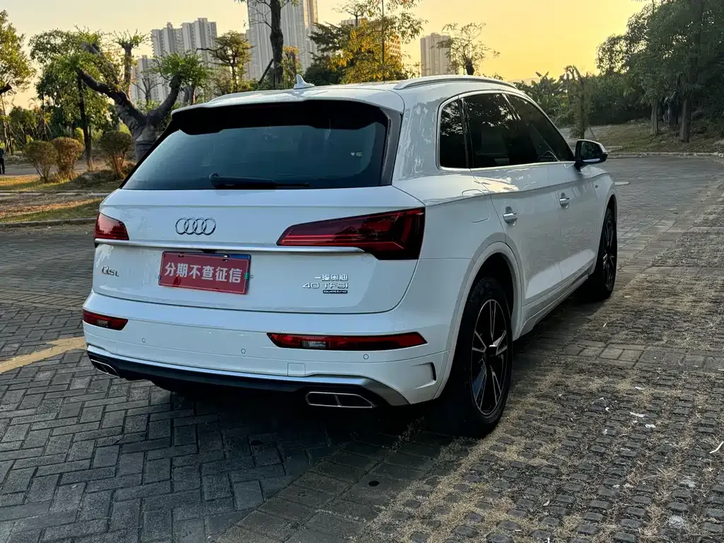 Audi Q5L 2023 из CN, фото 6