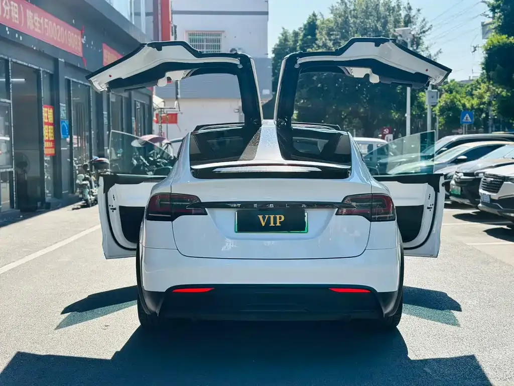 Tesla Model X — фото 10