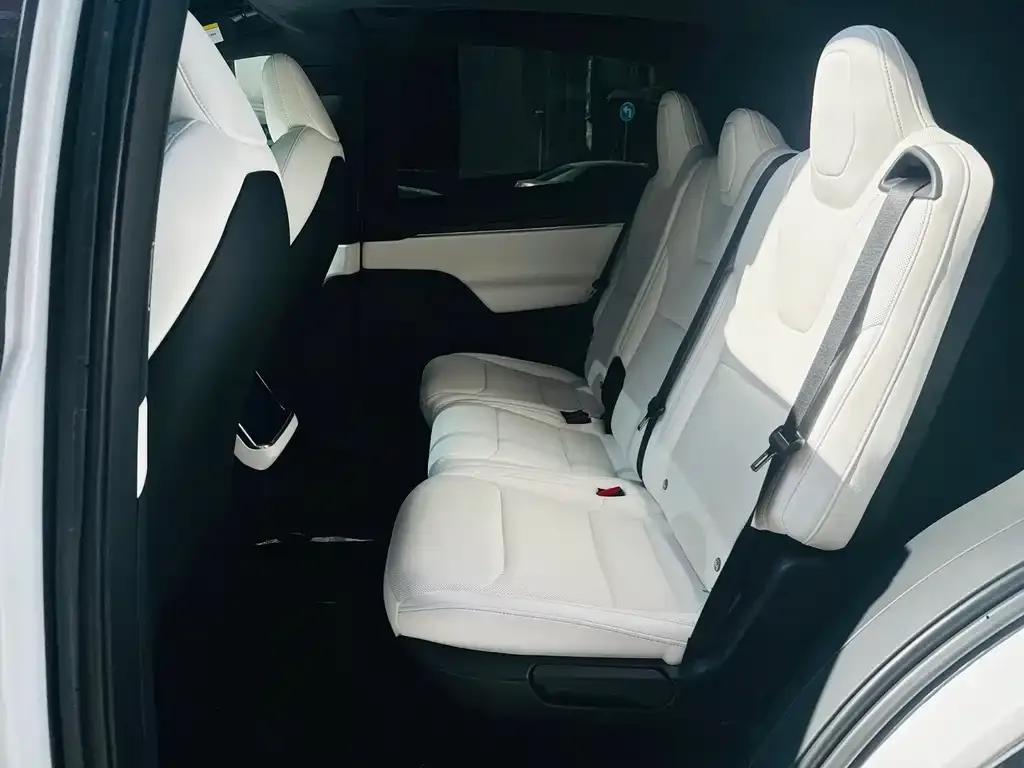 Tesla Model X — фото 6