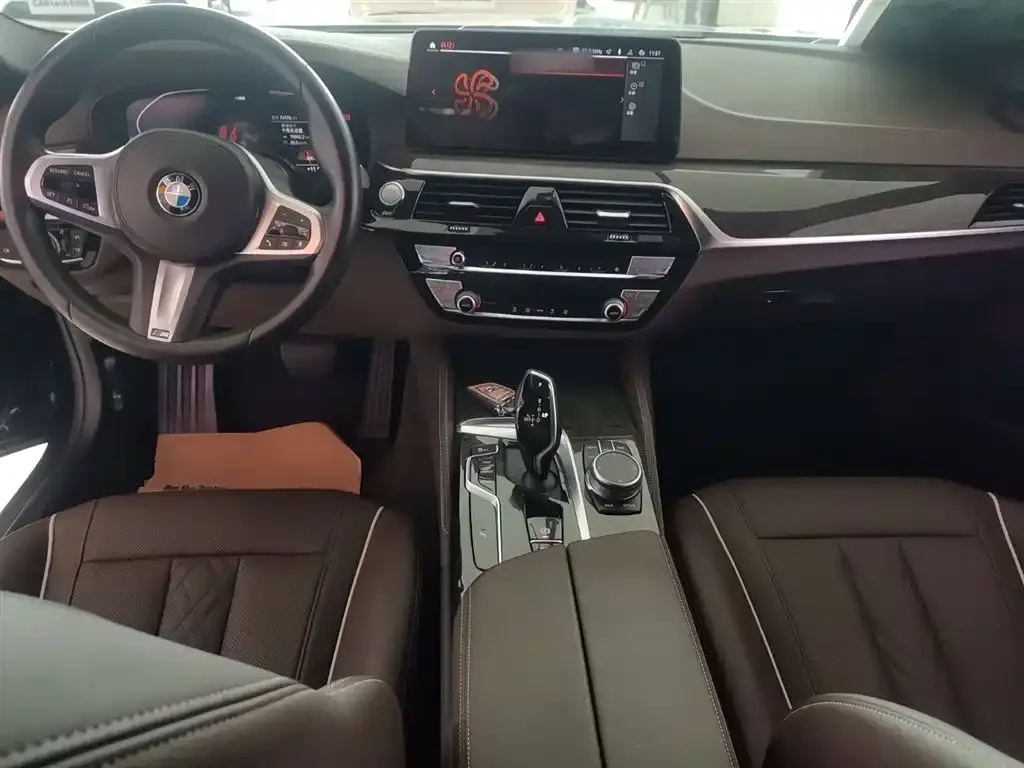 BMW 5 Series 2022 из CN, фото 10