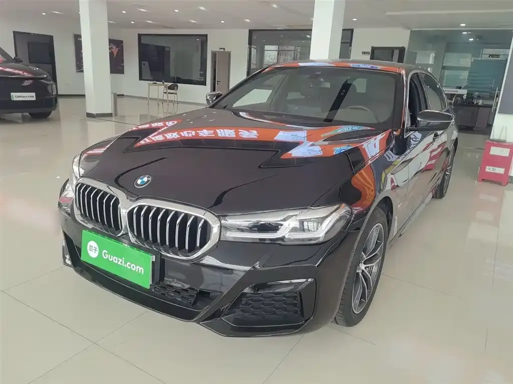 BMW 5 Series 2022 из CN, фото 2