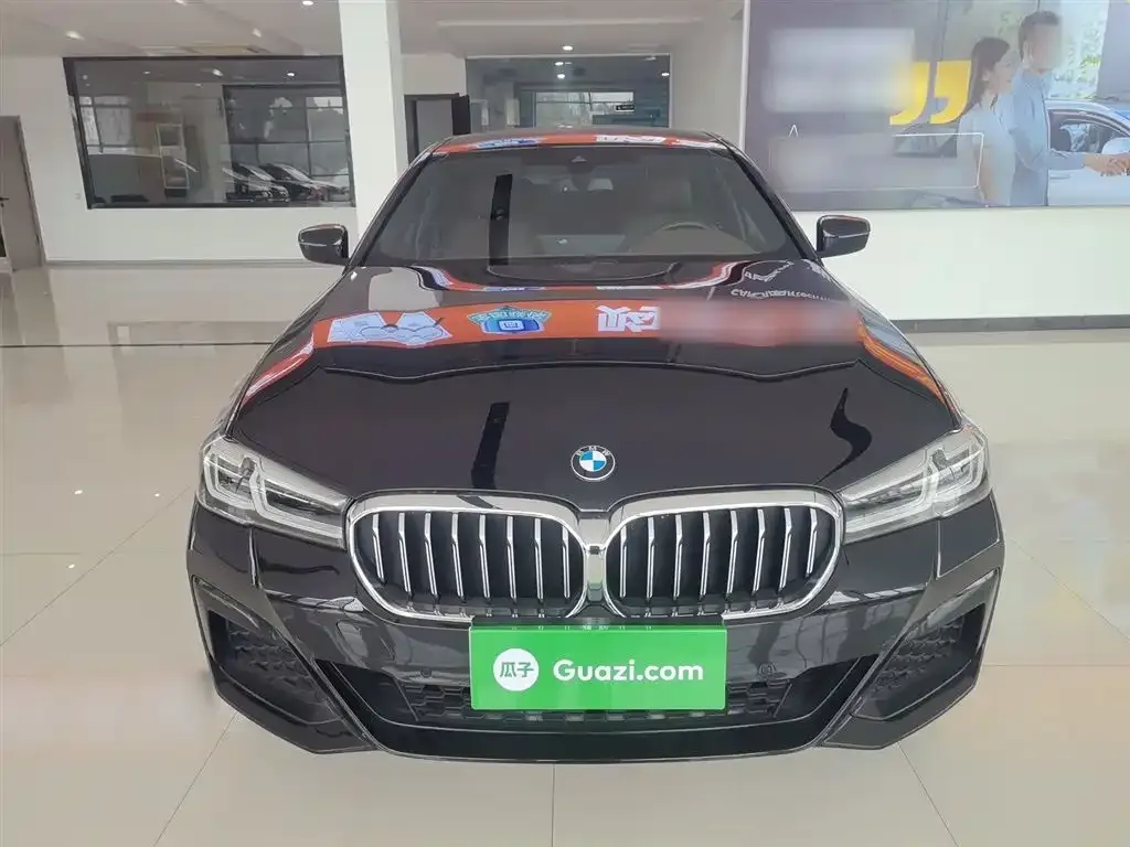 BMW 5 Series 2022 из CN, фото 3