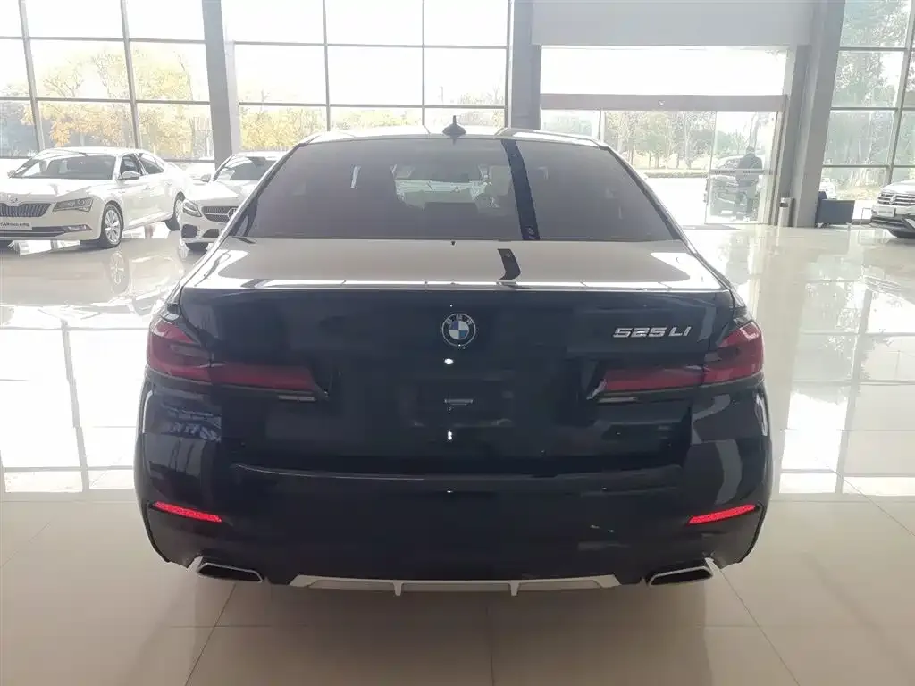 BMW 5 Series 2022 из CN, фото 6