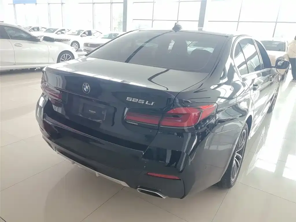 BMW 5 Series 2022 из CN, фото 7