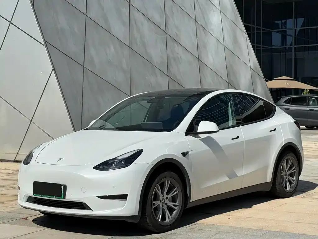 Tesla Model Y 2023 из CN, фото 1