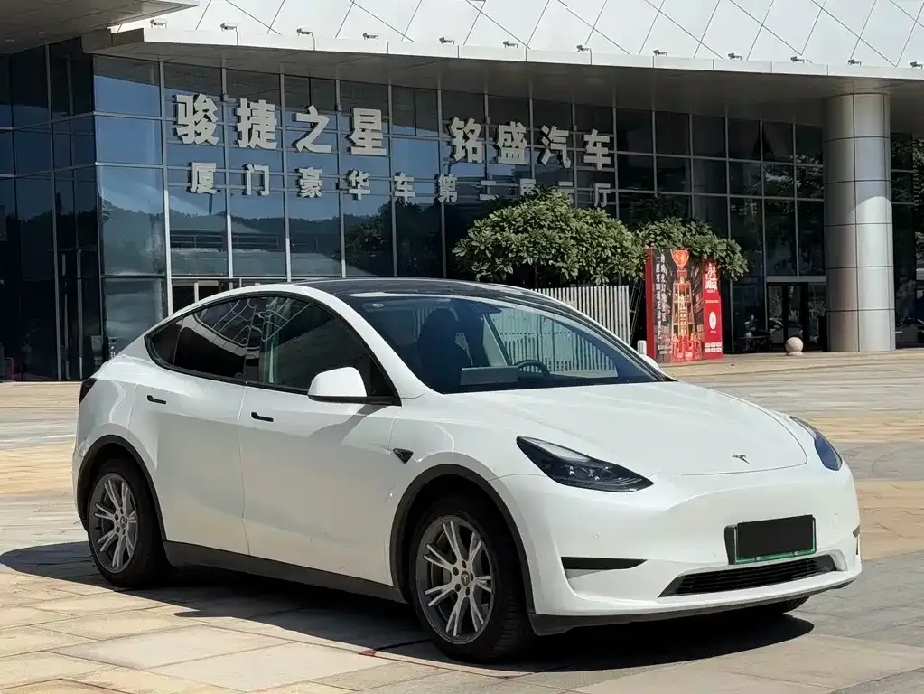 Tesla Model Y 2023 из CN, фото 3