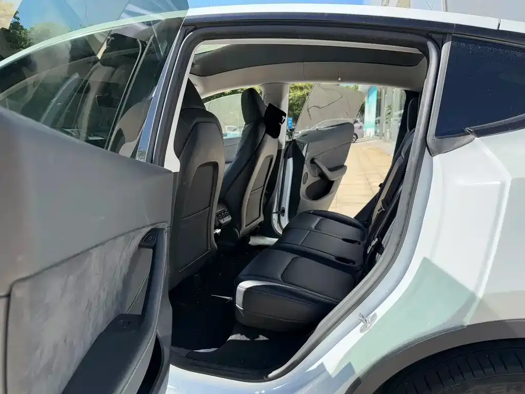 Tesla Model Y 2023 из CN, фото 5