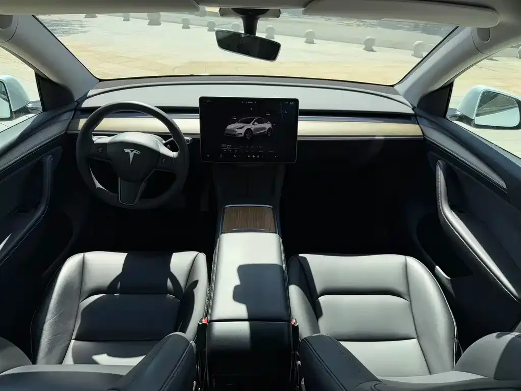 Tesla Model Y 2023 из CN, фото 6