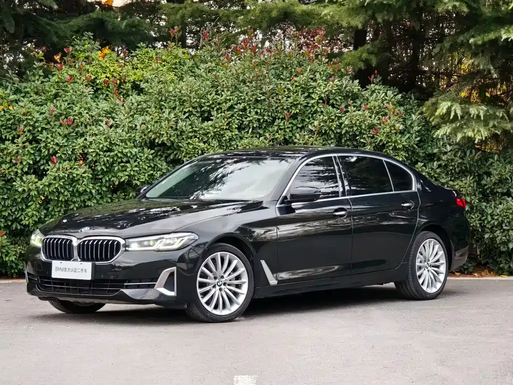 BMW 5 Series 2021 из CN, фото 1