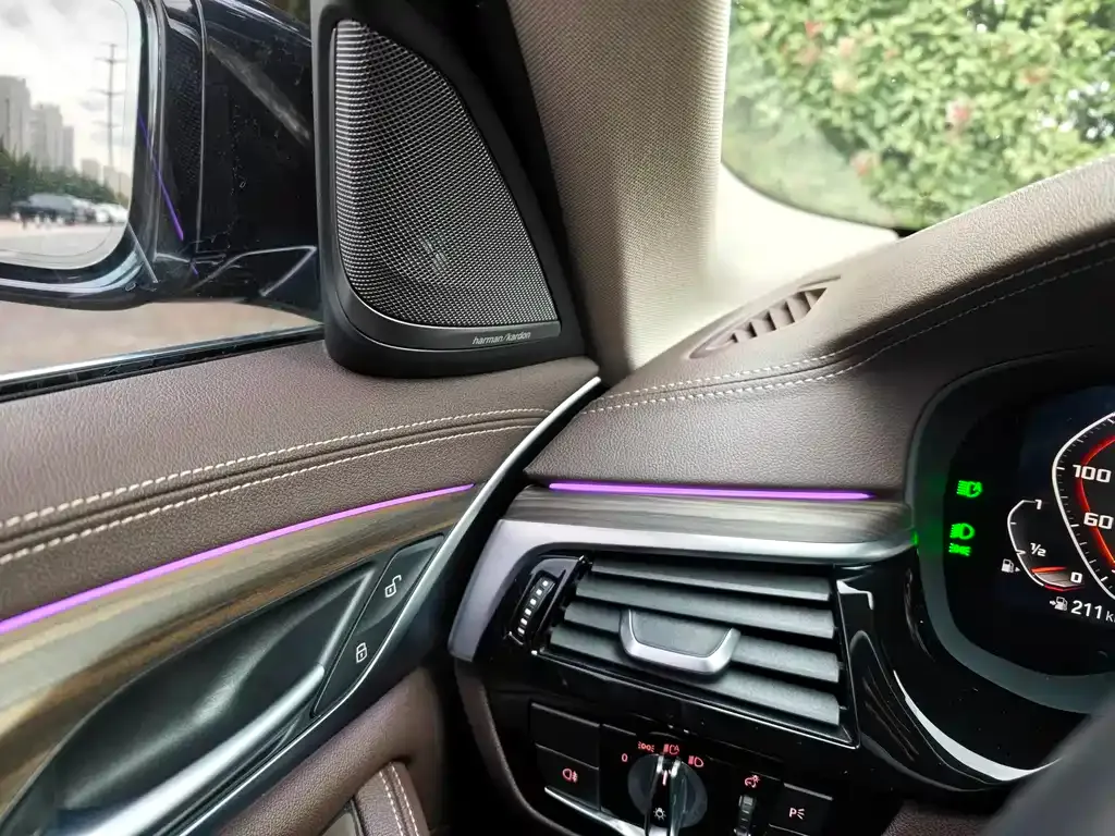 BMW 5 Series 2021 из CN, фото 10