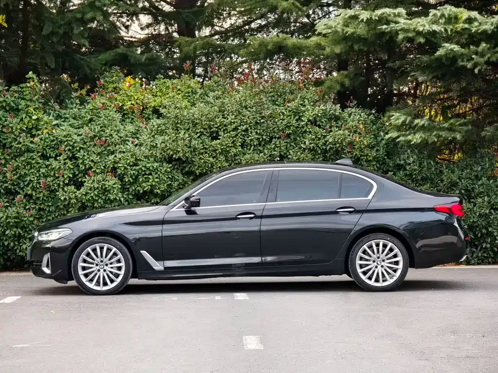 BMW 5 Series 2021 из CN, фото 2