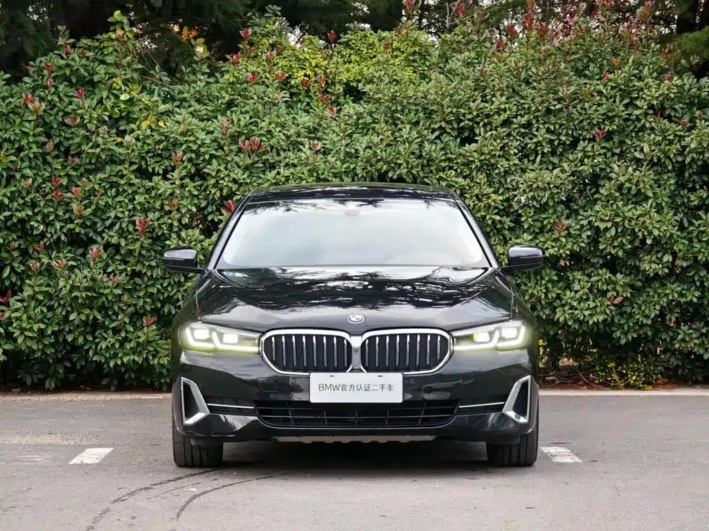 BMW 5 Series 2021 из CN, фото 3