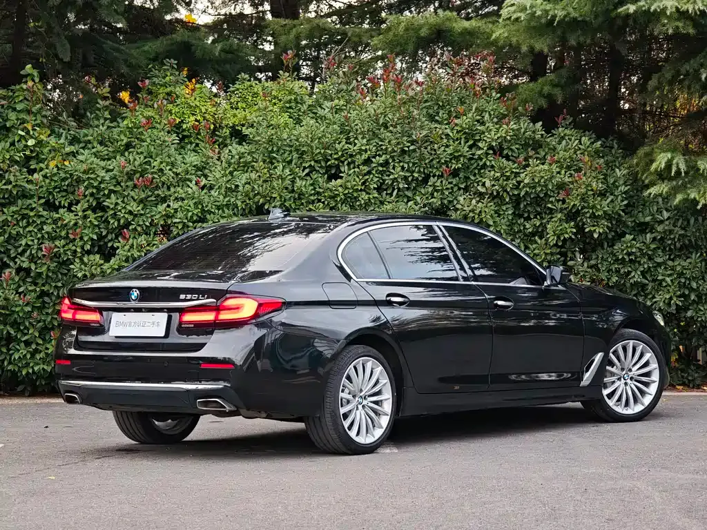 BMW 5 Series 2021 из CN, фото 4
