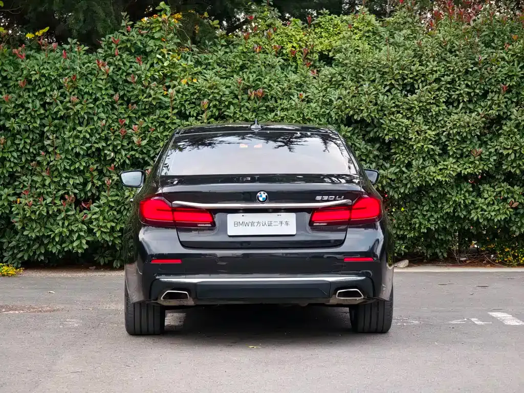 BMW 5 Series 2021 из CN, фото 5