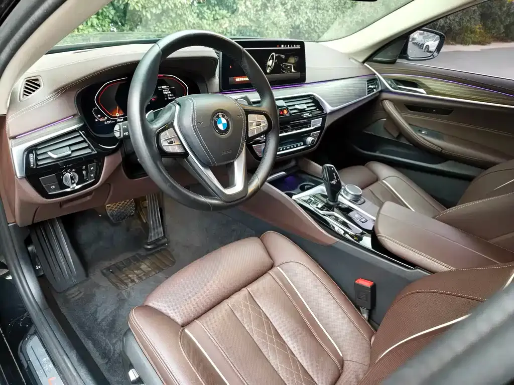 BMW 5 Series 2021 из CN, фото 6