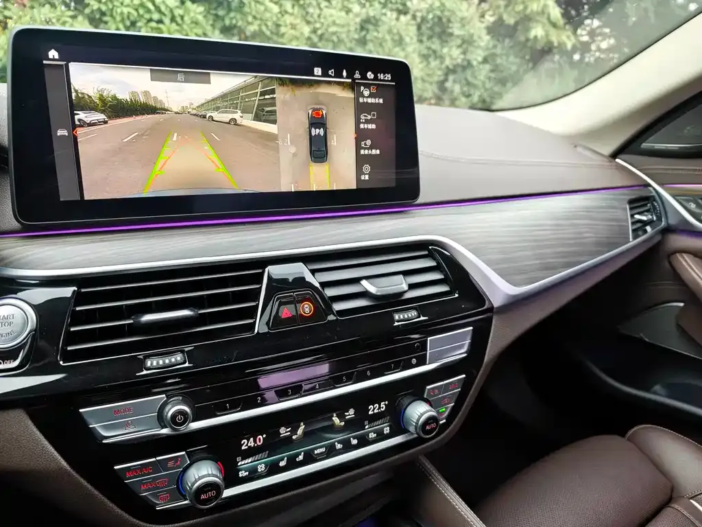 BMW 5 Series 2021 из CN, фото 9