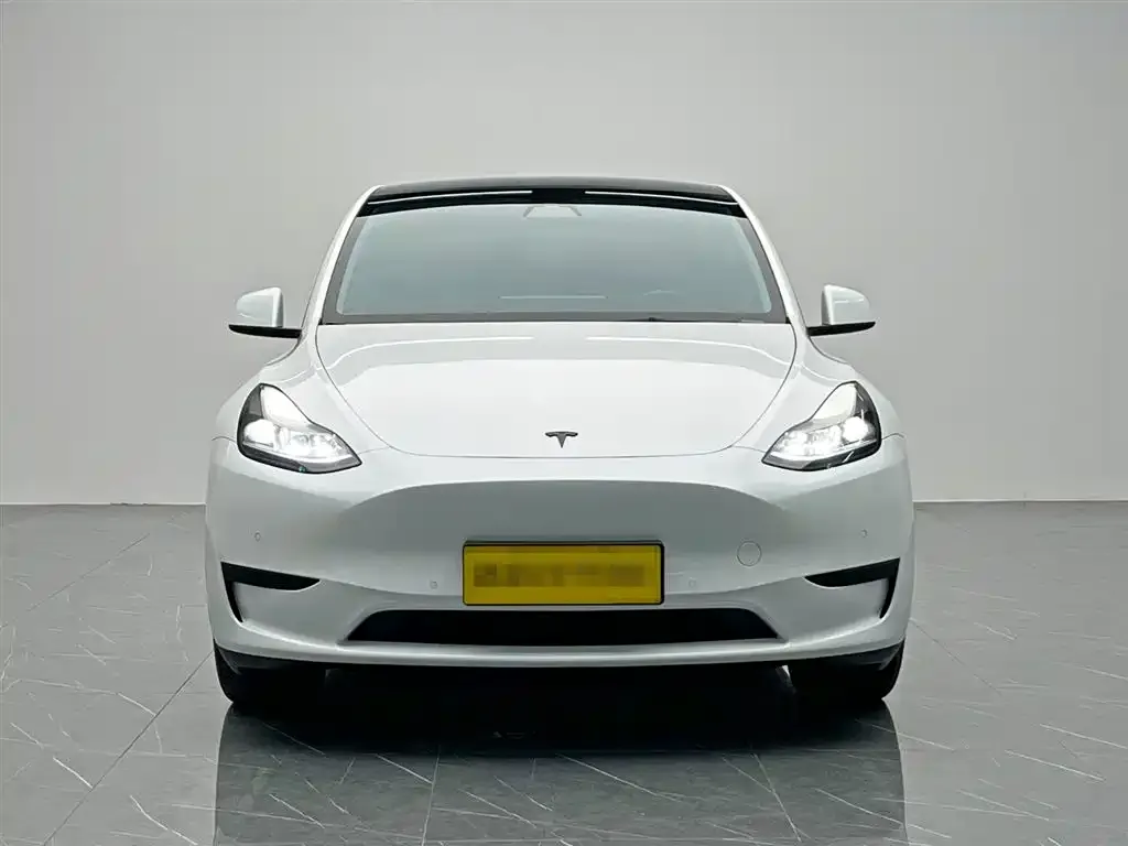 Tesla Model Y 2023 из CN, фото 2