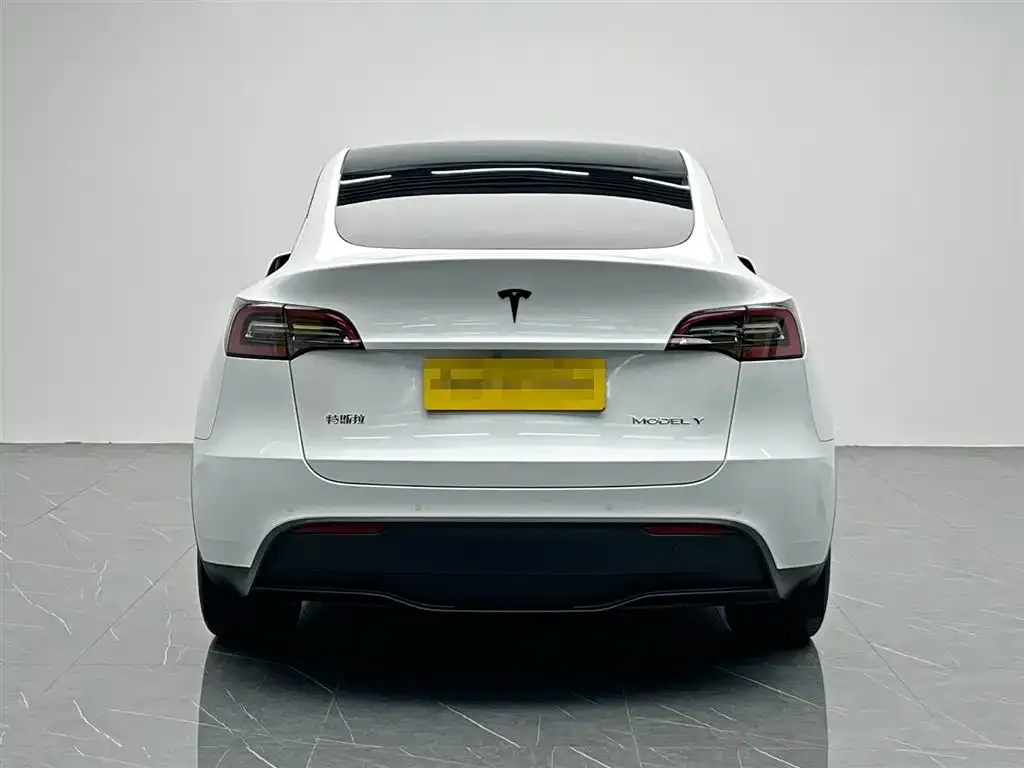 Tesla Model Y 2023 из CN, фото 5
