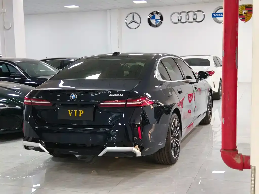 BMW 5 Series 2025 из CN, фото 4
