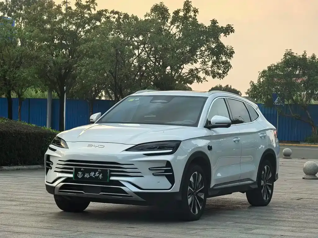 BYD PLUS New Energy 2025 из CN, фото 1