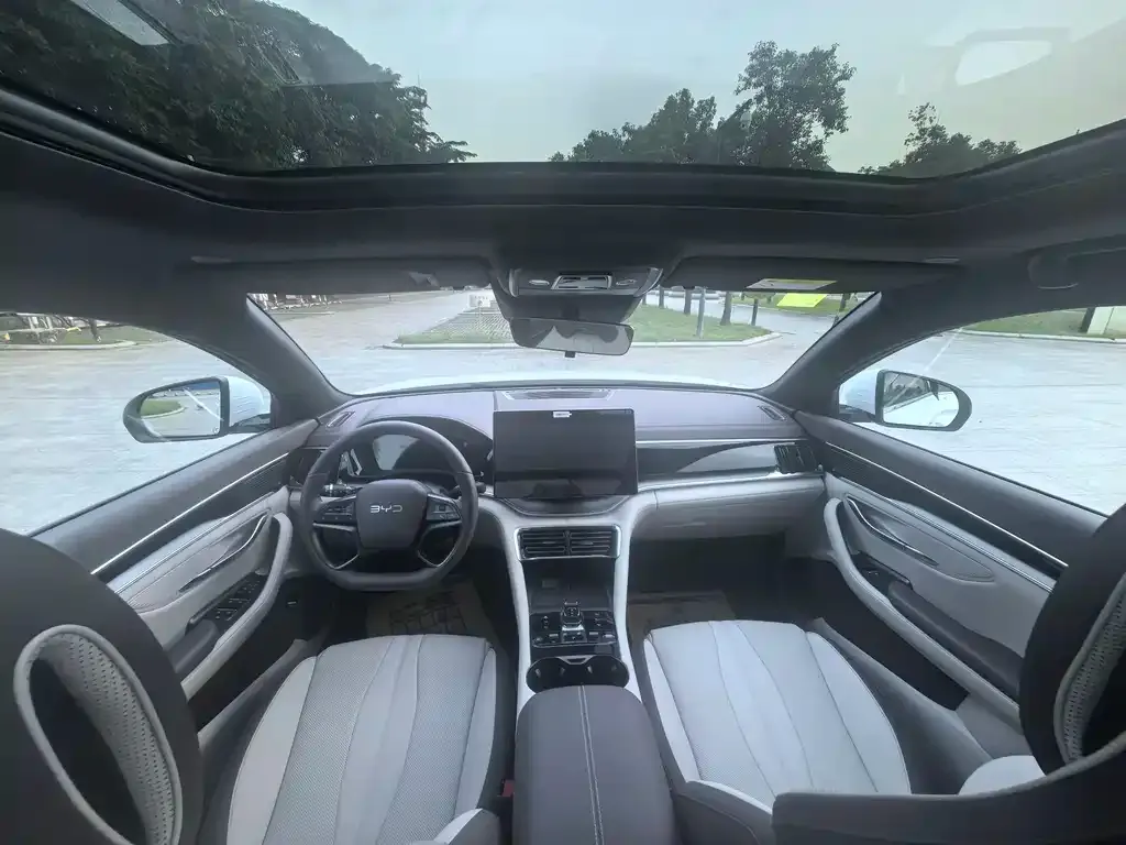BYD PLUS New Energy 2025 из CN, фото 10