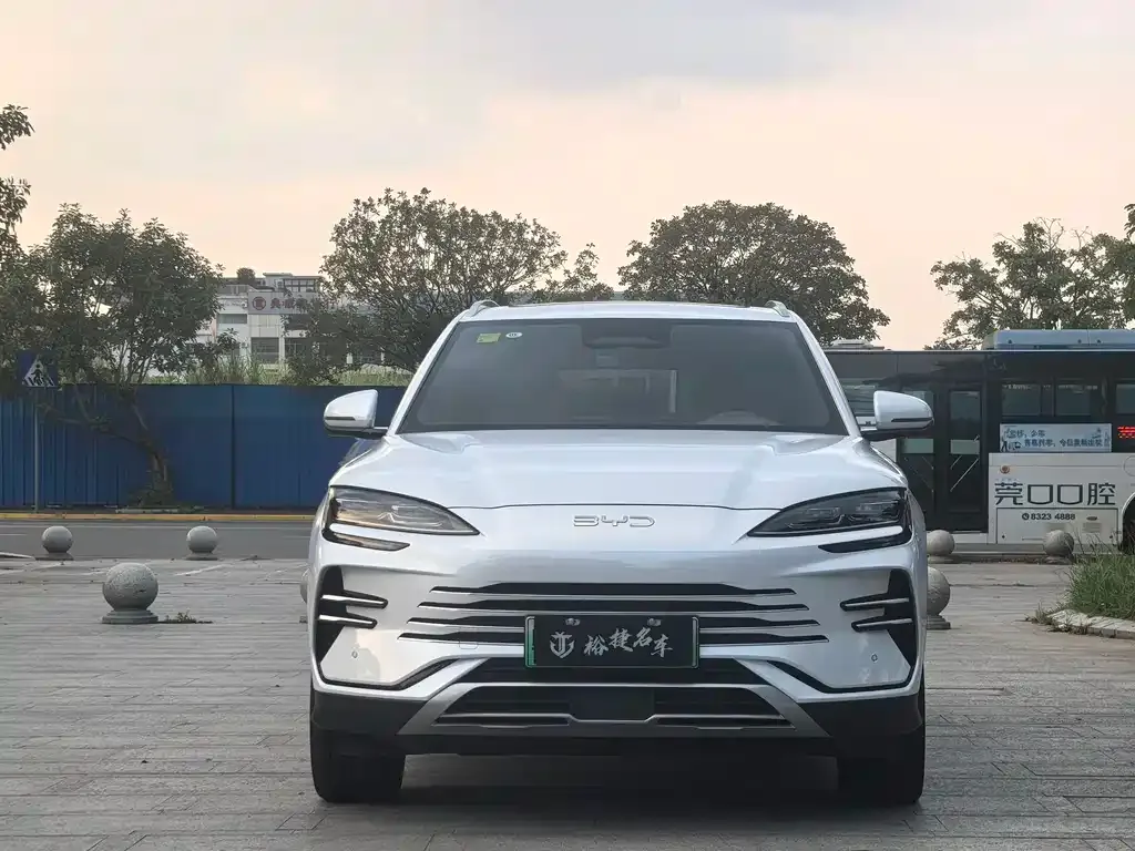 BYD PLUS New Energy 2025 из CN, фото 2