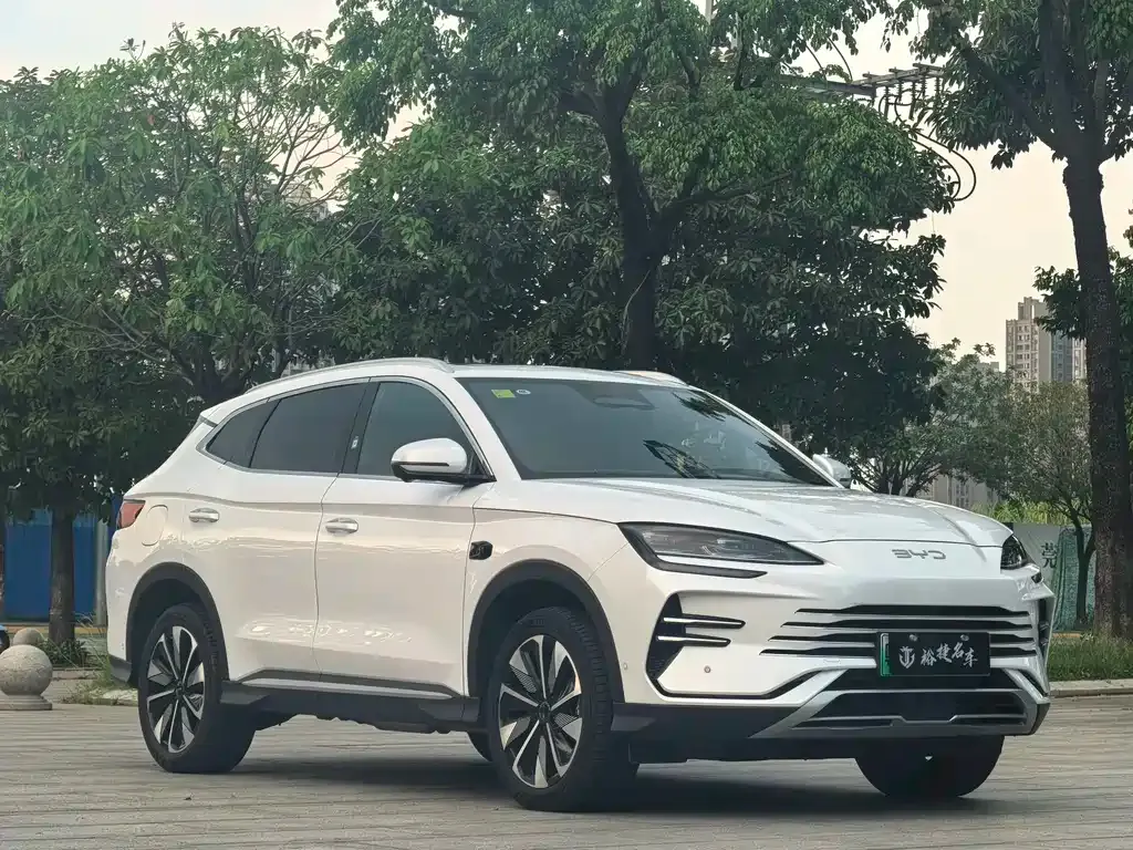 BYD PLUS New Energy 2025 из CN, фото 3