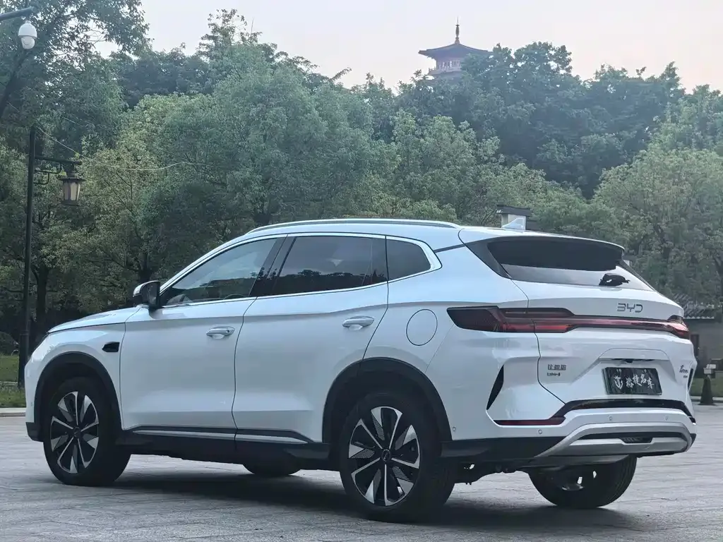 BYD PLUS New Energy 2025 из CN, фото 5