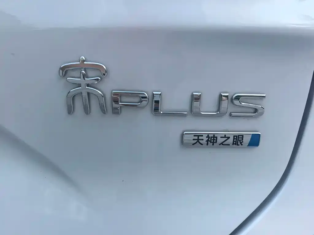BYD PLUS New Energy 2025 из CN, фото 7