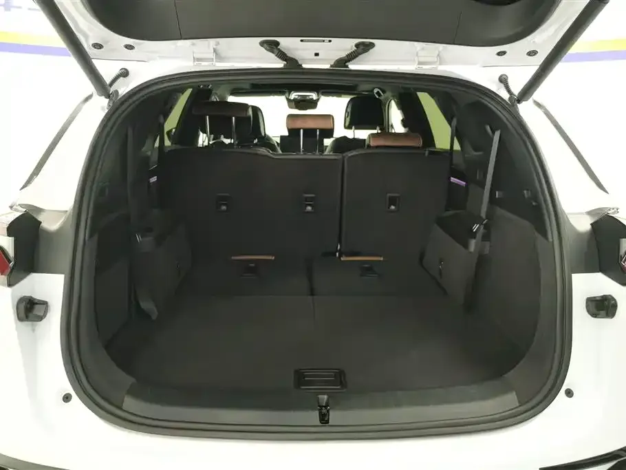 BYD Tang New Energy 2022 из CN, фото 4