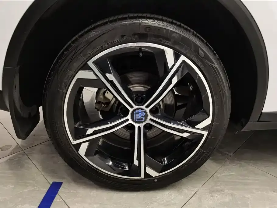 BYD Tang New Energy 2022 из CN, фото 6