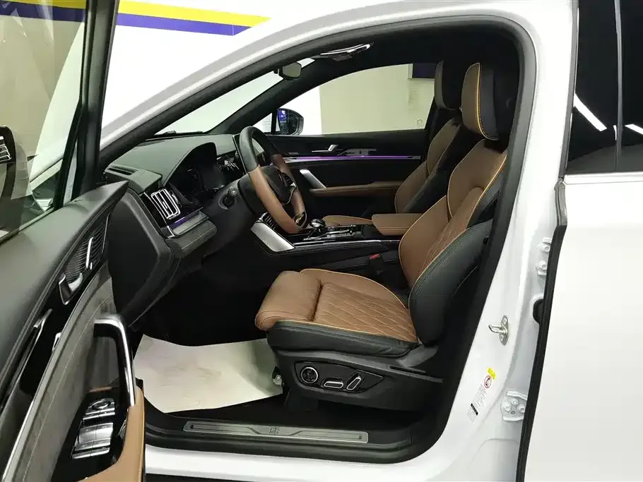 BYD Tang New Energy 2022 из CN, фото 9